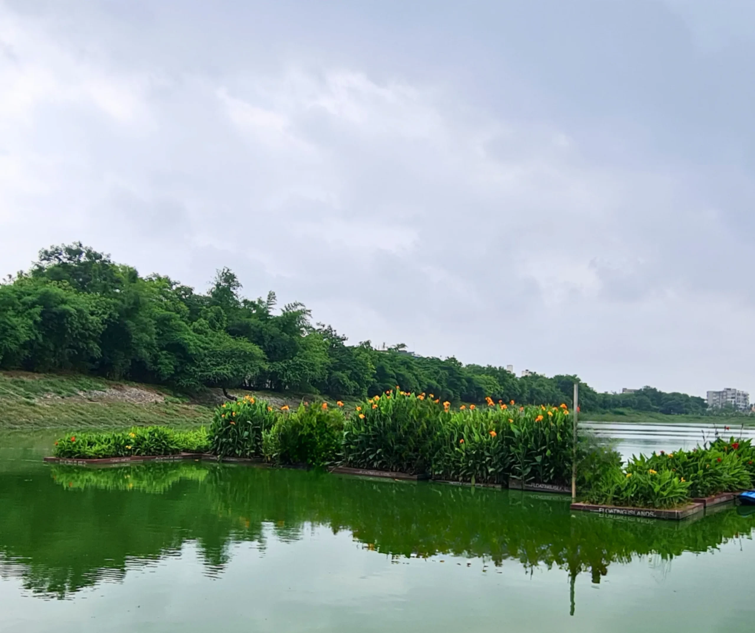 Restoring Polluted Lakes