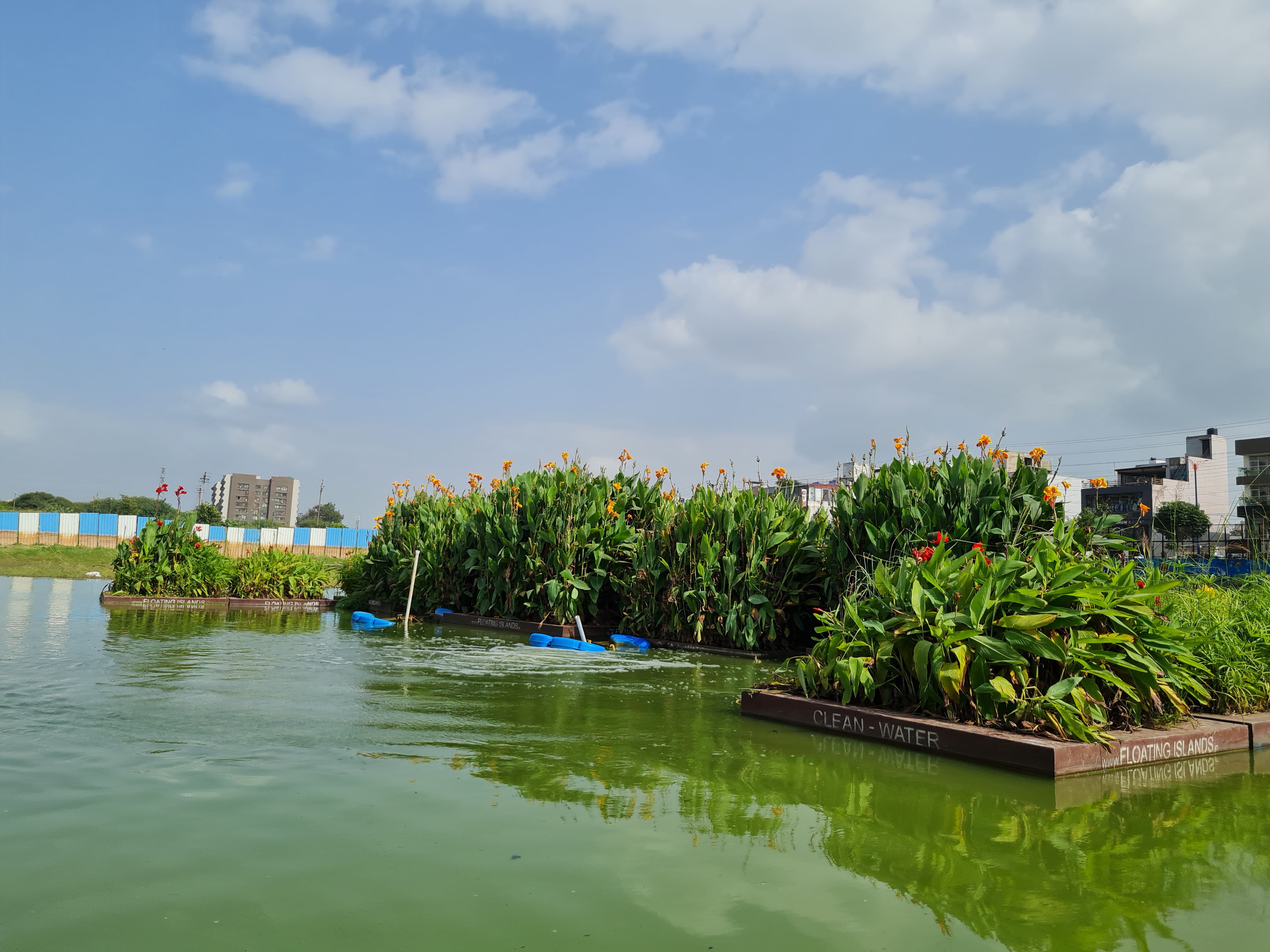 Floating Wetlands in India