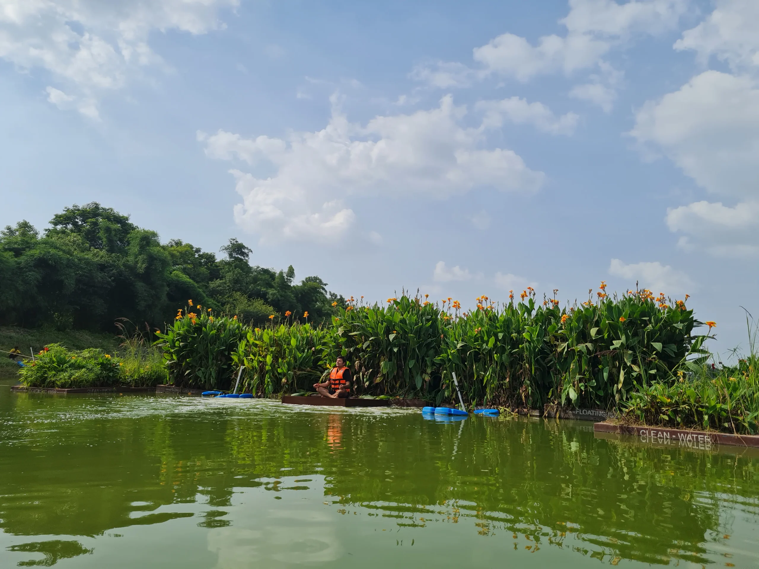 floating wetlands