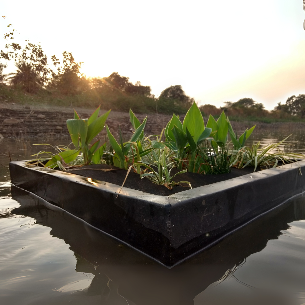 Riverbank Restoration