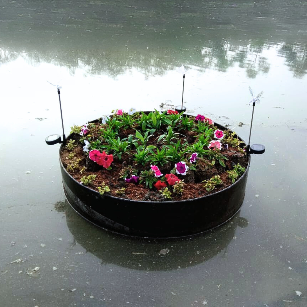 Floating Wetlands for Architects