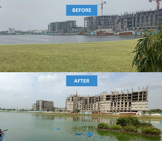 Remove Common Water hyacinth