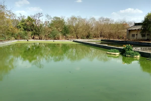 Background Image (5)