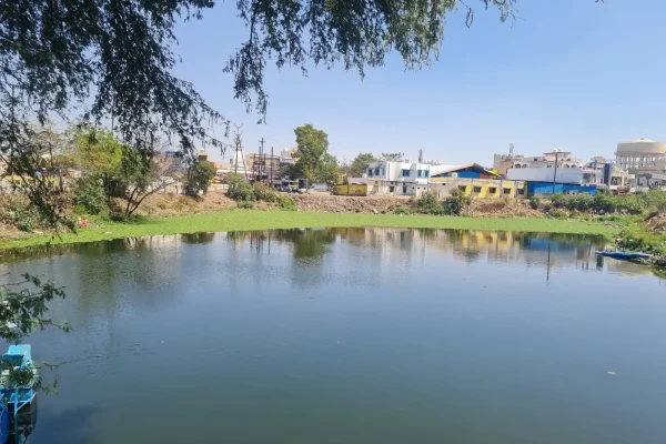 Background image (3)