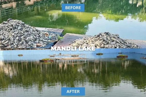 Mandli Lake (1)